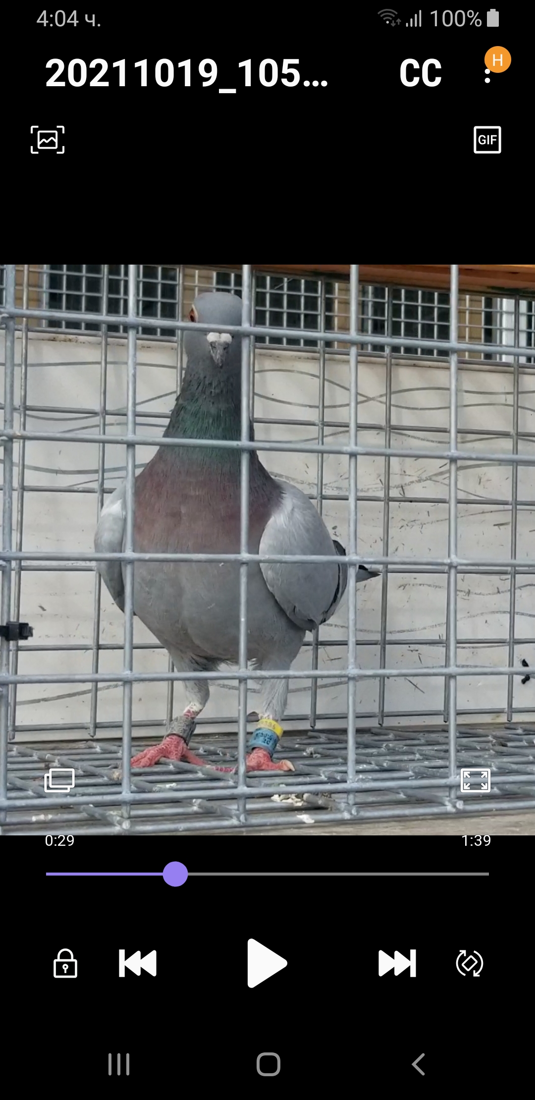 Orlderbyshanovo